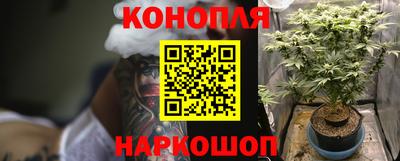 прущие грибы Севастополь