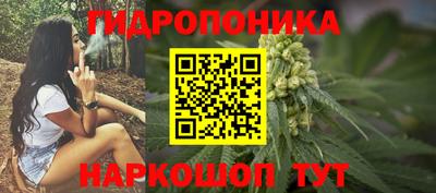 прущие грибы Севастополь