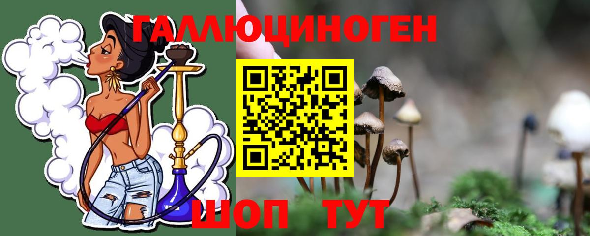 Псилоцибиновые грибы Cubensis Печора