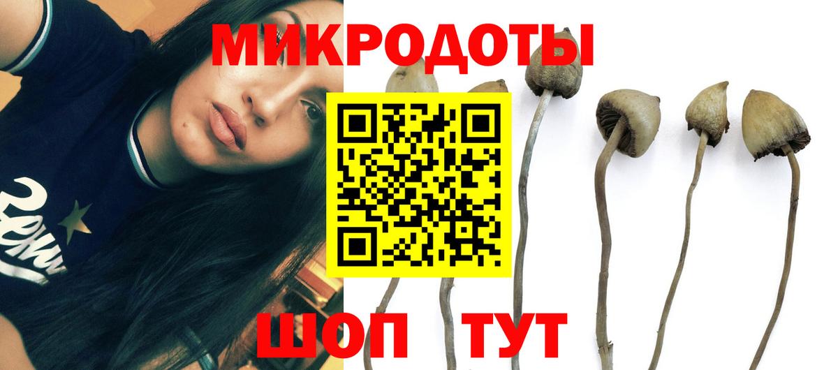 Галлюциногенные грибы Cubensis  продажа наркотиков  Печора  Вход с VPN  Псилоцибиновые грибы GOLDEN TEACHER 